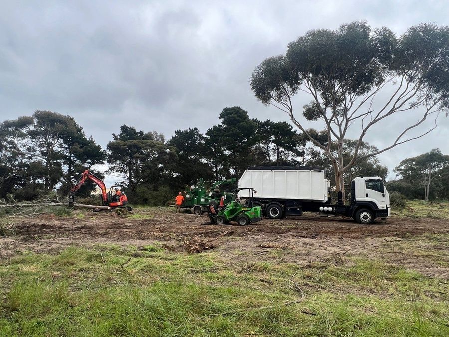 Adelaide Arborists on Facebook