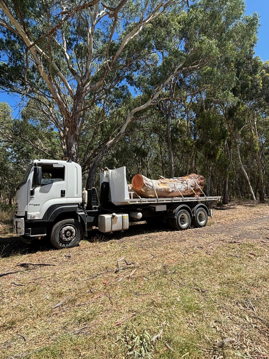 Truck loaded with logs after land clearing in Adelaide