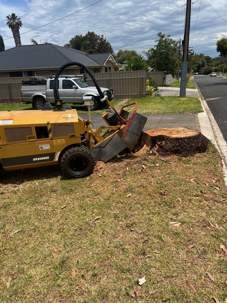 Stump grinding machine removing a stump in Adelaide