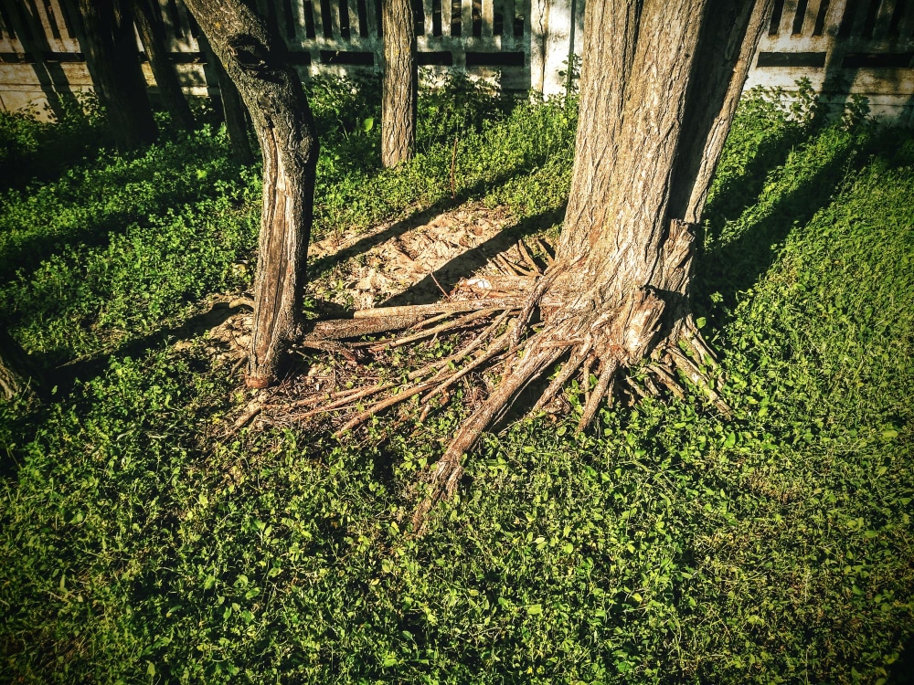 blog