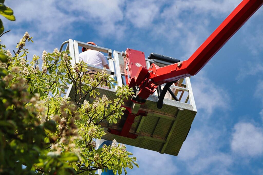 tree-pruning